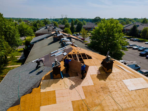 Best Flat Roof Repair Services  in Winthrop, MN