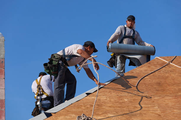 Best Roof Maintenance Services  in Winthrop, MN