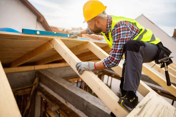 Best New Roof Installation  in Winthrop, MN