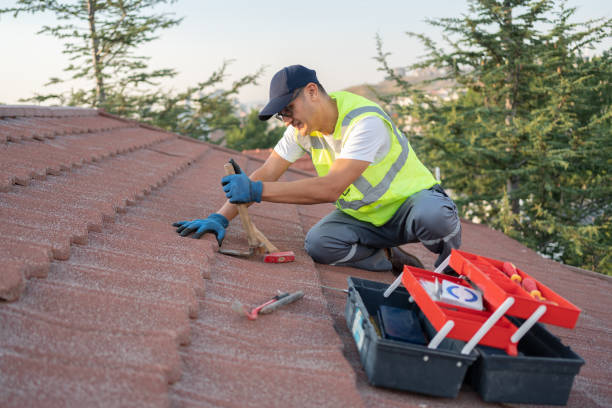 Professional Roofing Contractor in Winthrop, MN