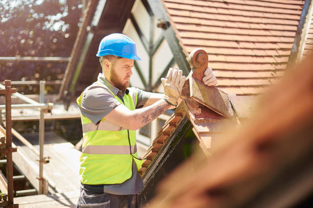 Best Storm Damage Roof Repair  in Winthrop, MN