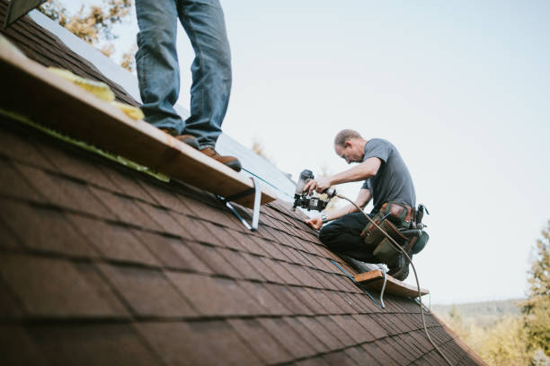 Best Roof Gutter Cleaning  in Winthrop, MN